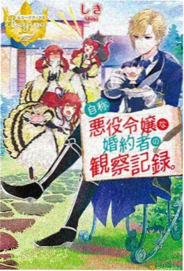 极光之巅